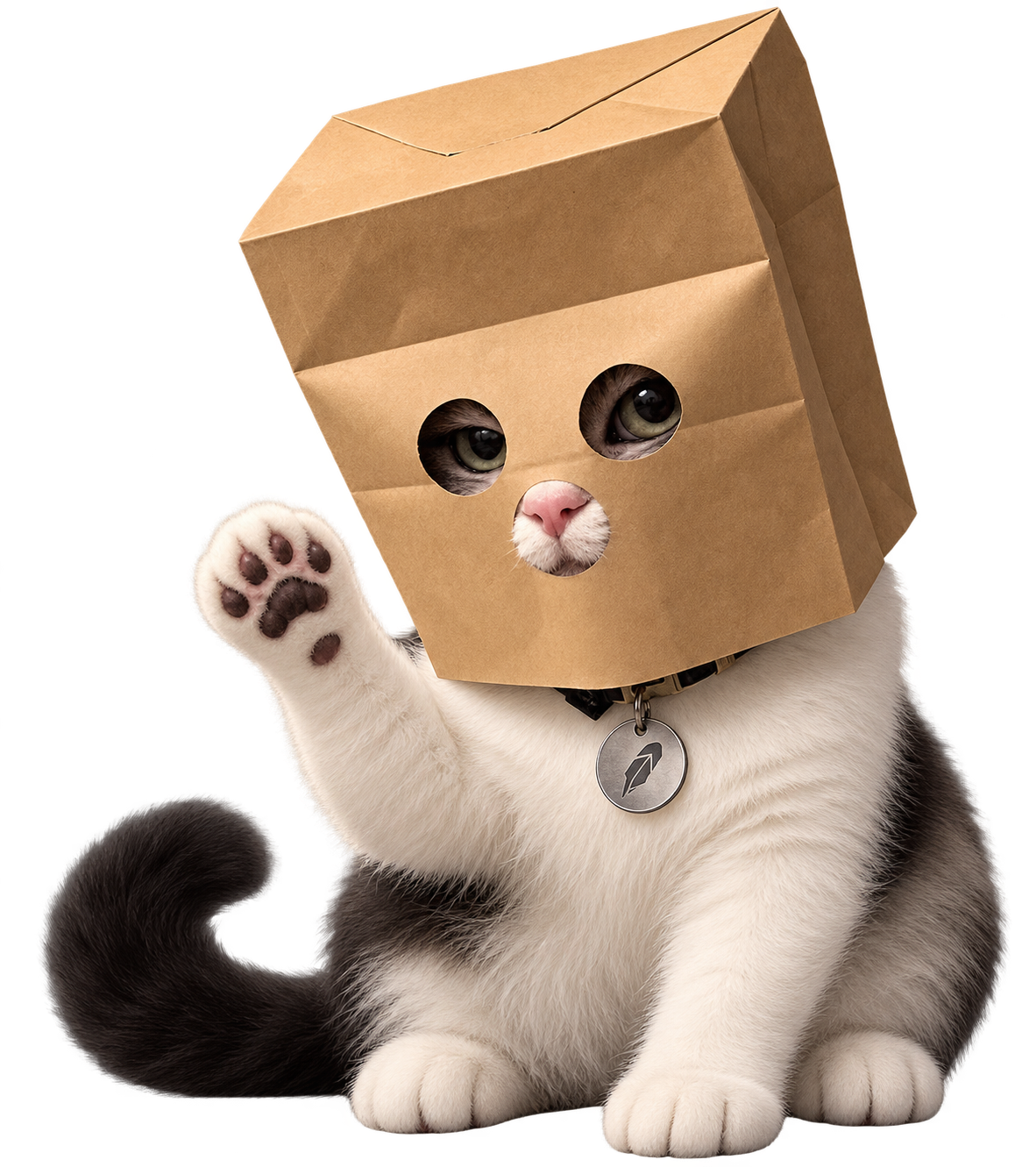 ZCAT — masked anonymous cat waving